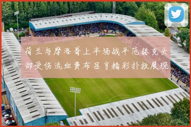 荷兰与摩洛哥上半场战平范赫克头部受伤流血费布吕亨精彩扑救展现实力